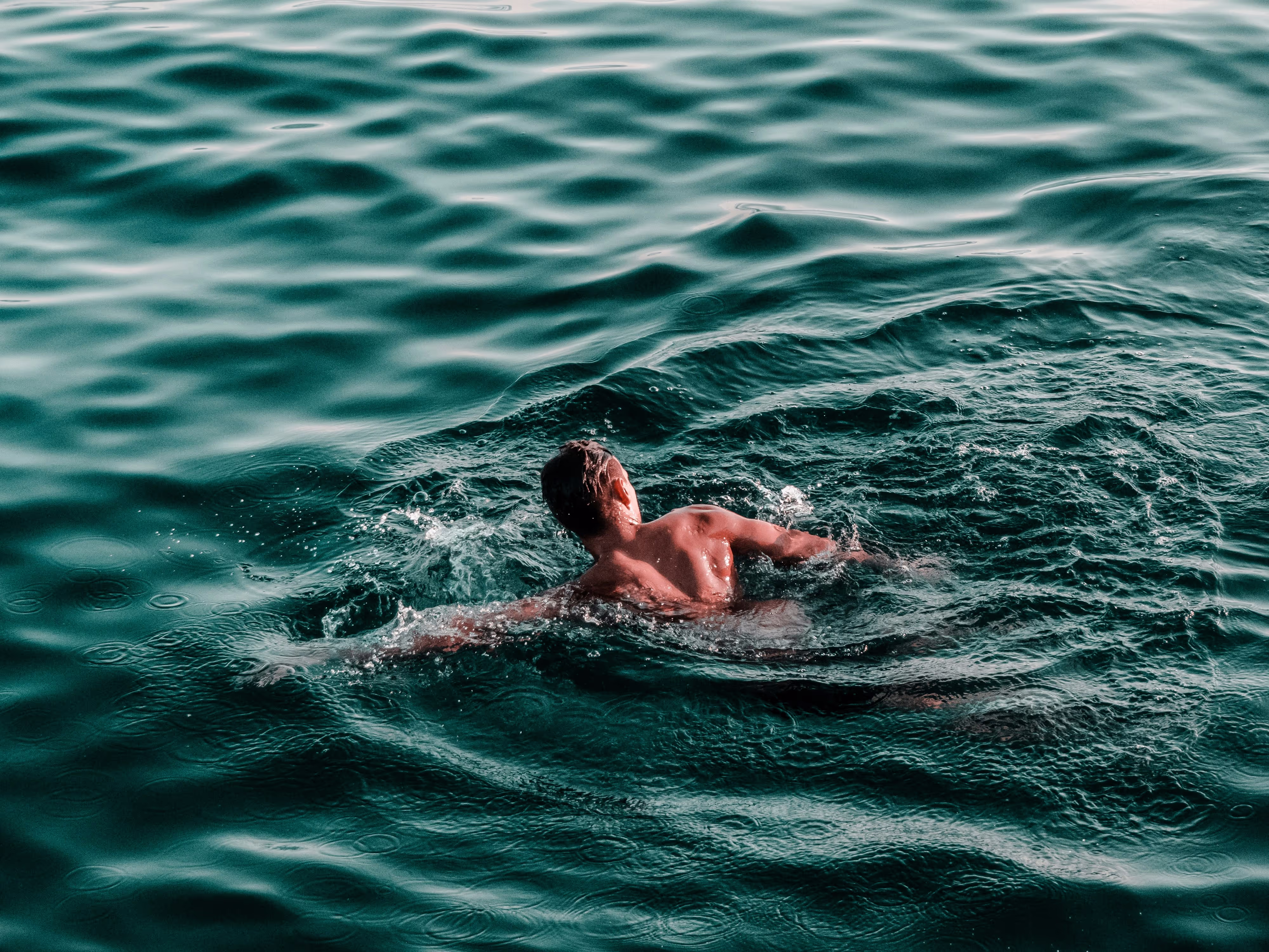 boat-trip